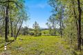Property photo of 11 Bredbatoura Road Cobargo NSW 2550