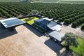 Property photo of 51 Bosanquet Road Yoogali NSW 2680