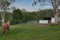 Property photo of 65 Kriedeman Road Upper Coomera QLD 4209