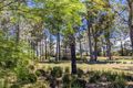 Property photo of 14 Gumleaf Drive Molendinar QLD 4214