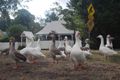 Property photo of 52 Main Road Riddells Creek VIC 3431