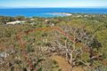 Property photo of 11 Second Avenue Anglesea VIC 3230