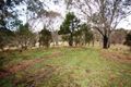 Property photo of 1 Ebor Street Ebor NSW 2453