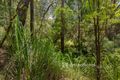Property photo of 2780 Gembrook-Launching Place Road Gembrook VIC 3783