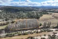 Property photo of 2293 Towamba Road Towamba NSW 2550