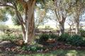 Property photo of 212 Hart Church Road Hart SA 5464
