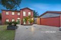 Property photo of 11 Palmtree Place Aspendale Gardens VIC 3195