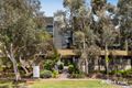 Property photo of 8/68 Janefield Drive Bundoora VIC 3083