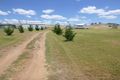 Property photo of 94 Kirribilli Road Canowindra NSW 2804