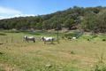 Property photo of 268 Oakenville Creek Road Nundle NSW 2340