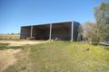 Property photo of 23 Carter Lane Quirindi NSW 2343