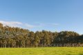Property photo of 264 Redgate Road Witchcliffe WA 6286