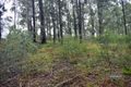 Property photo of LOT 473 Arborten Road Glenwood QLD 4570