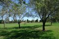 Property photo of 26 Lyminge Road Croydon Park NSW 2133