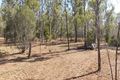 Property photo of 16 Gilgai Road Delan QLD 4671