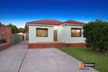 Property photo of 17 Eddie Avenue Panania NSW 2213