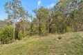 Property photo of 42 Regal Drive Canungra QLD 4275