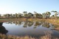 Property photo of 900 Acacia Vale Road Breddan QLD 4820