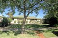 Property photo of 17 Richardson Grove Mildura VIC 3500