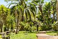 Property photo of 8/16-22 Jenkins Street Collaroy NSW 2097