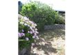Property photo of 28 Franklin Street Sailors Gully VIC 3556