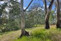 Property photo of 444 Abercorn Road Abercorn QLD 4627