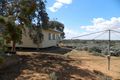 Property photo of 13 Petters Road Morgan SA 5320
