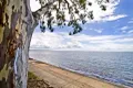 Property photo of 8 Diane Court Deception Bay QLD 4508