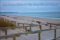 Property photo of 12 Lyddon Road Carrickalinga SA 5204