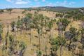 Property photo of LOT 1 Thanes Creek Road Thane QLD 4370