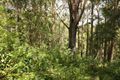 Property photo of 102 Macwood Road Smiths Lake NSW 2428