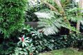 Property photo of 21 Hawthorn Grove Marcus Beach QLD 4573