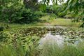Property photo of 142 Cecil Street Nimbin NSW 2480