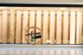 Property photo of 4 Aspen Circuit Logan Reserve QLD 4133