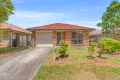 Property photo of 7 Lithfield Place Loganholme QLD 4129