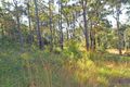Property photo of 12 Glider Spur Kew NSW 2439