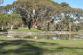 Property photo of 10 Sheoak Grove Lucindale SA 5272
