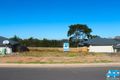 Property photo of 27 Asimus Circuit Elderslie NSW 2570