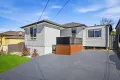 Property photo of 22 Wakelin Avenue Mount Pritchard NSW 2170