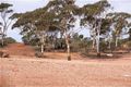 Property photo of 3 Purna Place Hannans WA 6430