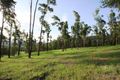 Property photo of 142-148 Camphor Drive Boyland QLD 4275