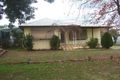 Property photo of 137 Grove Street Kooringal NSW 2650