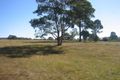 Property photo of 65 Nightingale Road Pheasants Nest NSW 2574