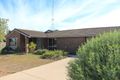 Property photo of 20 Radford Drive Risdon Park South SA 5540