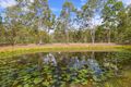 Property photo of 102 Cliff Jones Road Curra QLD 4570