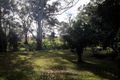 Property photo of 6 McMillan Street Ravenshoe QLD 4888