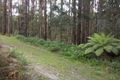 Property photo of 145 David Hill Road Monbulk VIC 3793