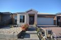 Property photo of 12 Corringa Way Craigieburn VIC 3064