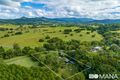 Property photo of 197 Billinudgel Road Billinudgel NSW 2483