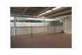 Property photo of 19 Sirene Crescent Deception Bay QLD 4508